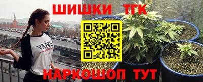 гашик Бузулук
