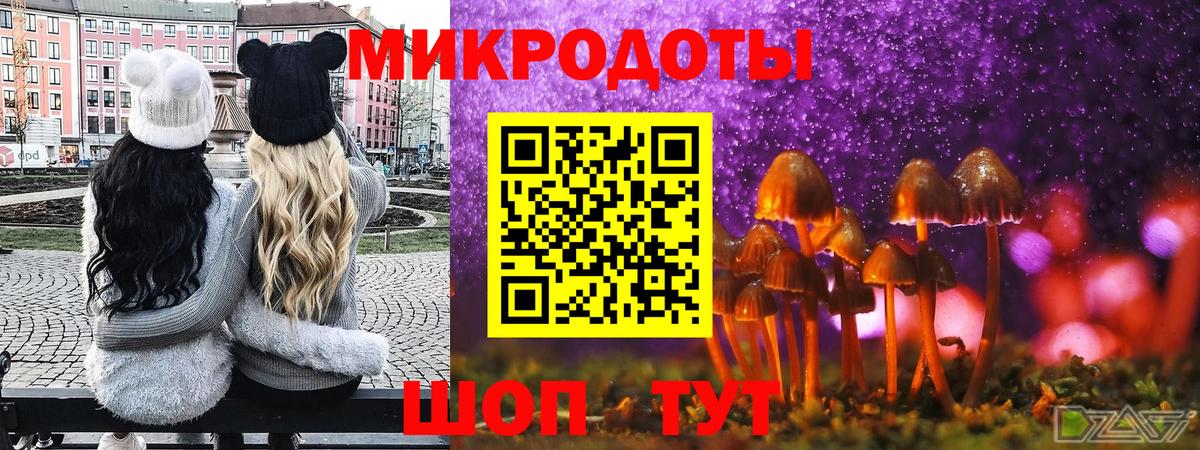 Галлюциногенные грибы MAGIC MUSHROOMS  Вход с VPN  Кондопога  Псилоцибиновые грибы Psilocybine cubensis 